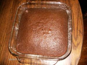 Figure 1 - Sourdough Chocolate Cake